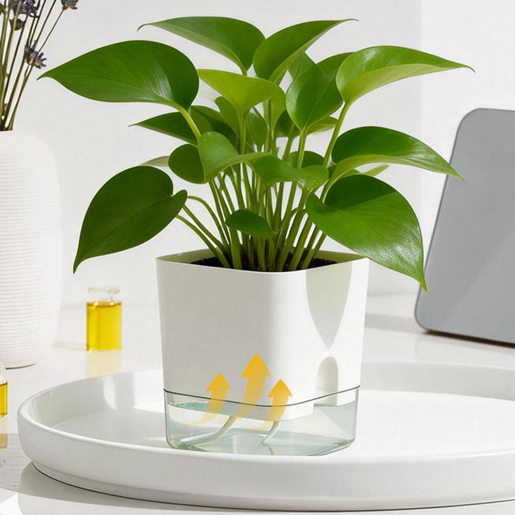 Aloe Vera Pot - Automatic Watering Flower Pots Self Watering