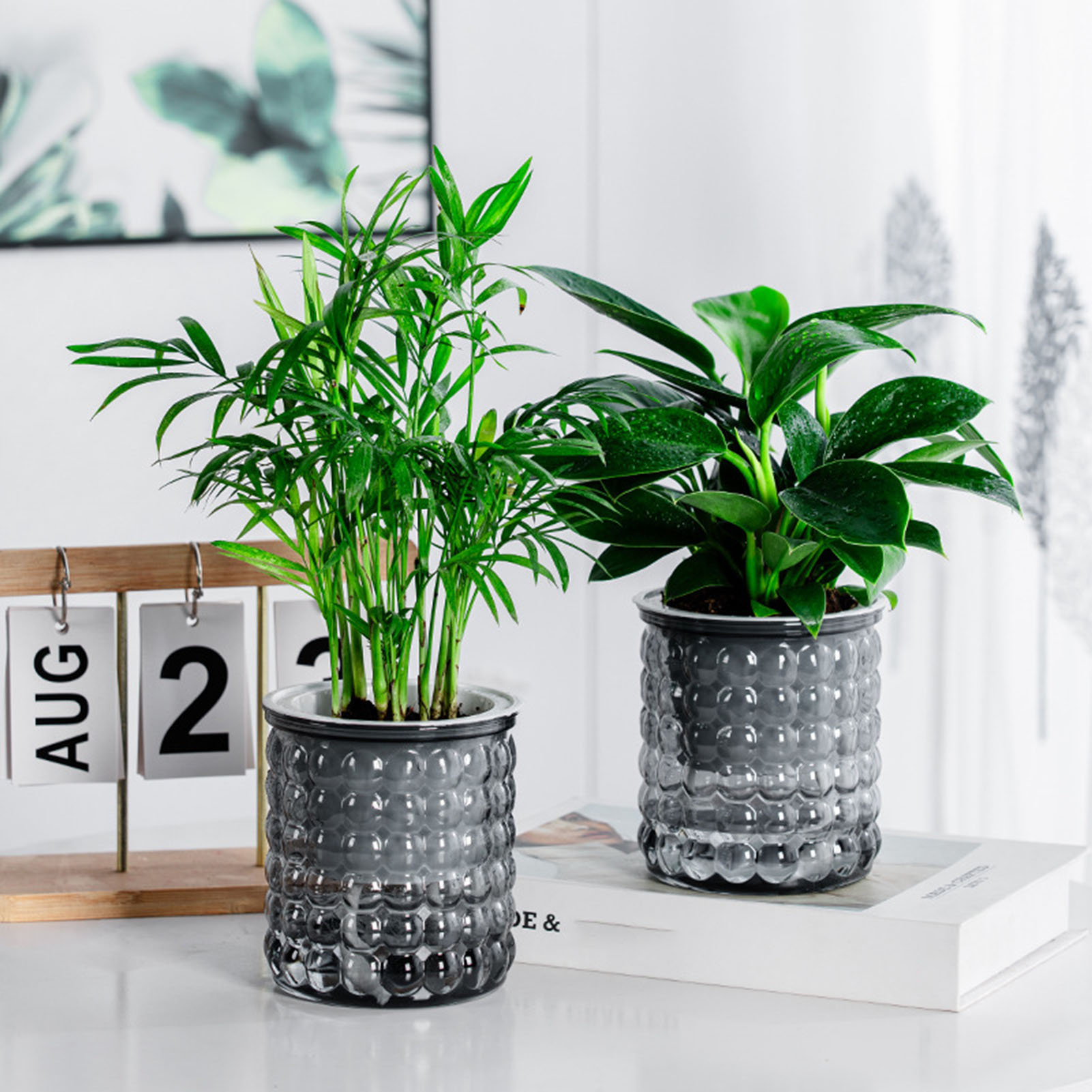 Aloe Vera Pot - New Self Watering Hydroponic Plants Pot