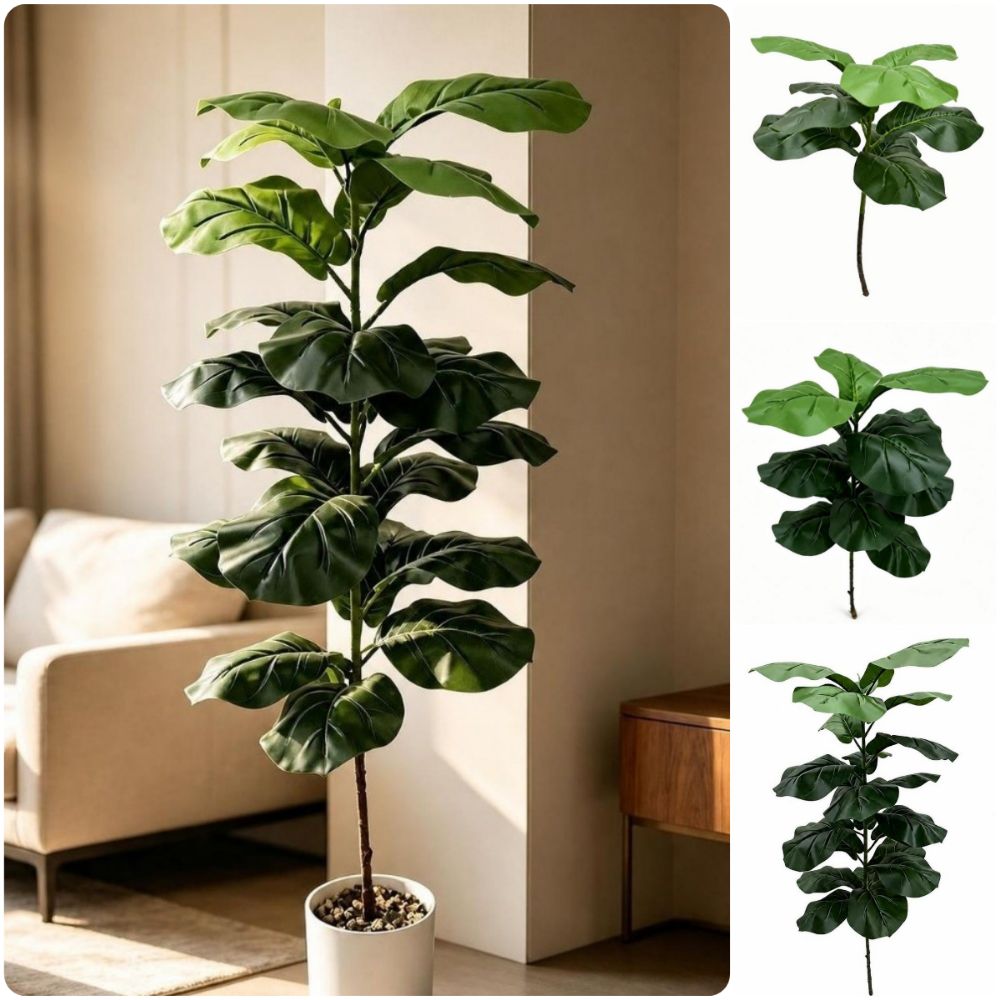Ficus Lyrata Tree - 9/15/23 Leaves Artificial Ficus Lyrata Big