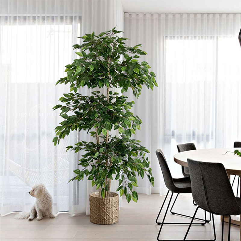 70in Ficus Artificial Tree Lar - Ficus Lyrata Tree ulasan dan harga