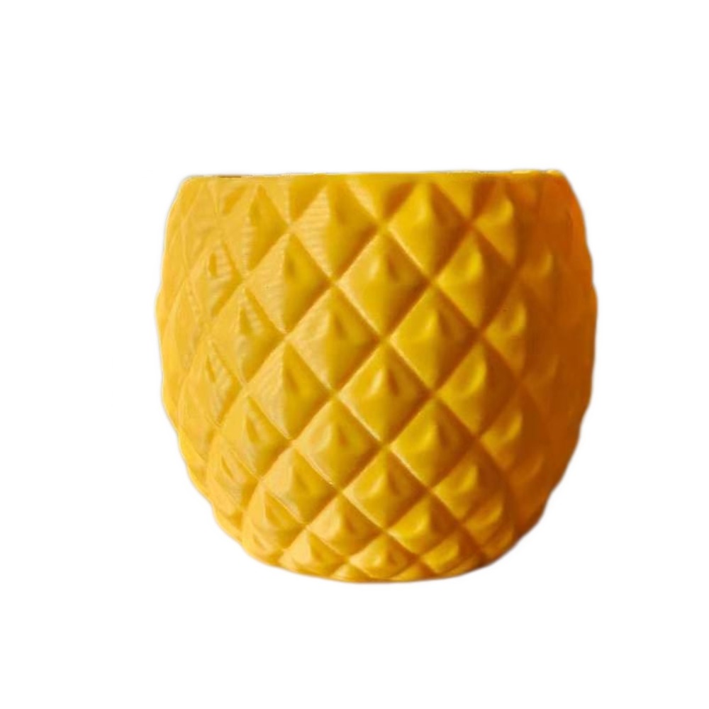 Plastic Fruit Flower Pot 3D Pr - Echeveria Succulent ulasan dan harga
