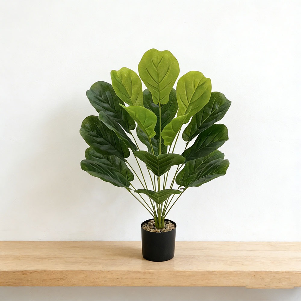 1pc of 75cm Artificial Ficus L - Ficus Lyrata Tree ulasan dan harga