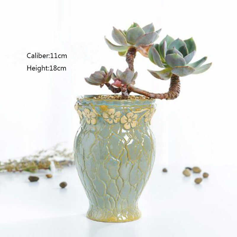 Succulent Plants Flowerpot Sma - Echeveria Succulent ulasan dan harga