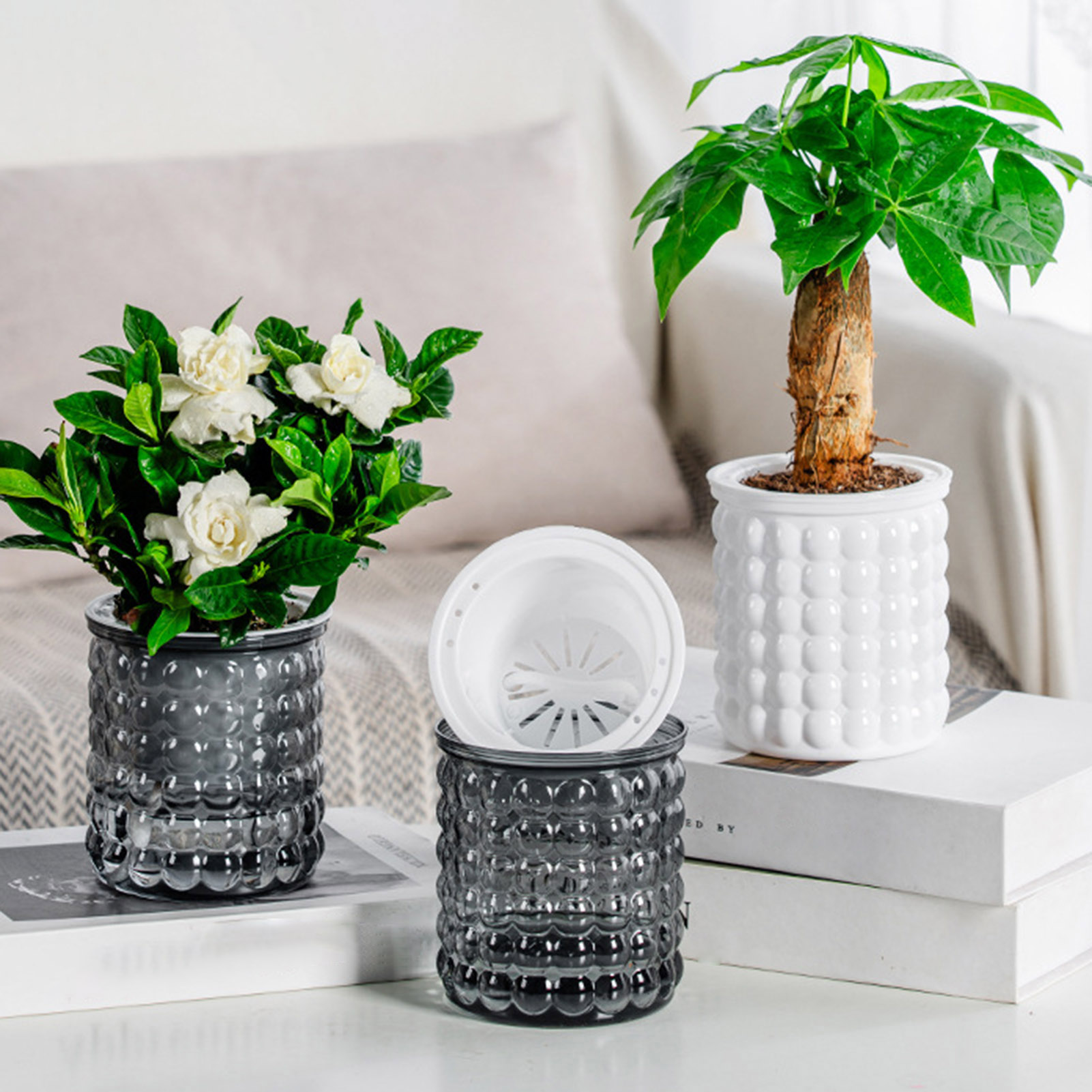 New Self Watering Hydroponic P - Aloe Vera Pot ulasan dan harga