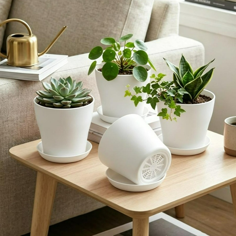 Plant Pot Set with Drainage Ho - Aloe Vera Pot ulasan dan harga